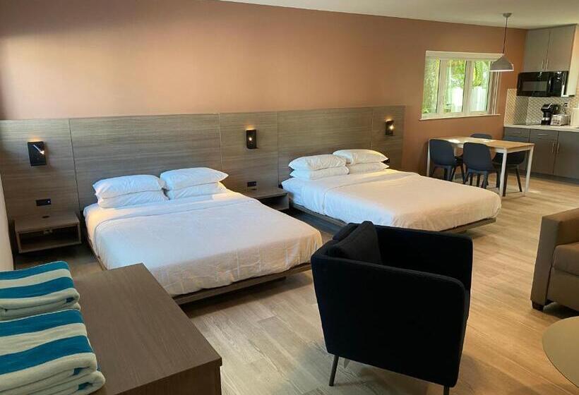 スタンダードスタジオ, Rolo Beach