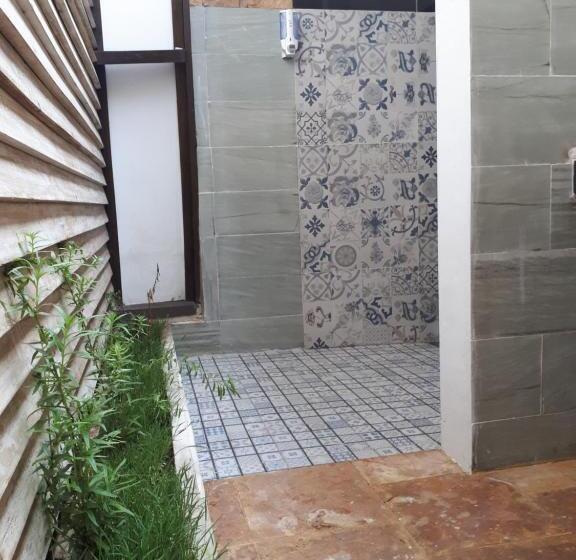 جناح جونيور مزوَّد بتراس, Coco Bale