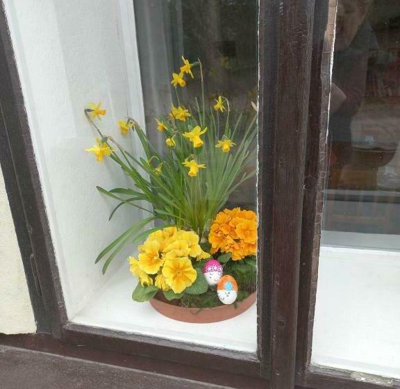 Апартаменты 2 Спальни, Stará škola Hedeč