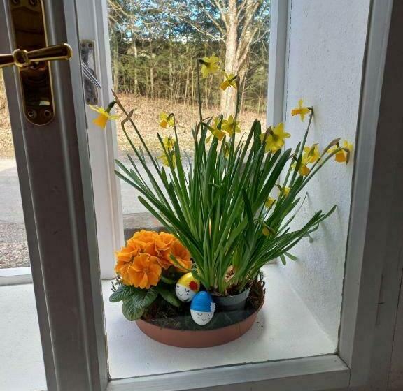 Апартаменты 2 Спальни, Stará škola Hedeč