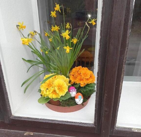 Апартаменты 1 Спальня, Stará škola Hedeč