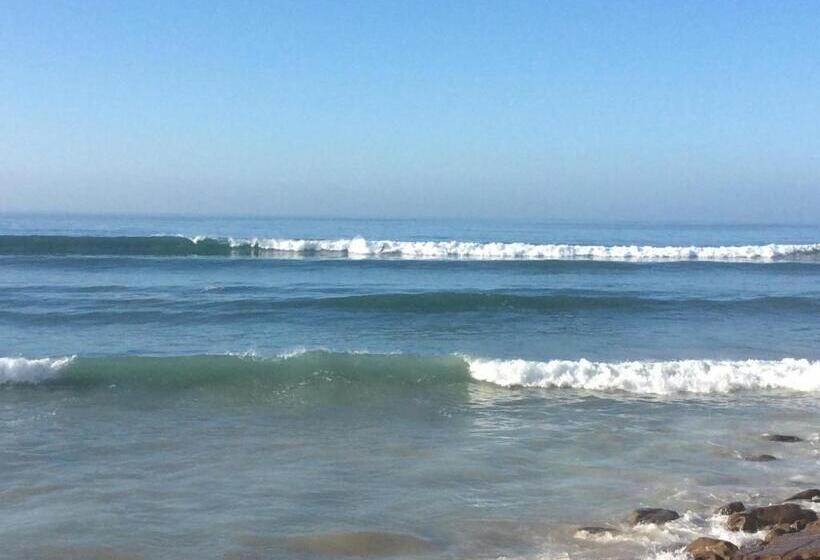 غرفة قياسية رباعية, Surf & Skate