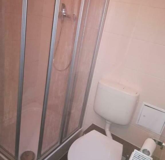 Апартаменты 1 Спальня Нижний Этаж, Kunstgasse 11 Wohnung 8