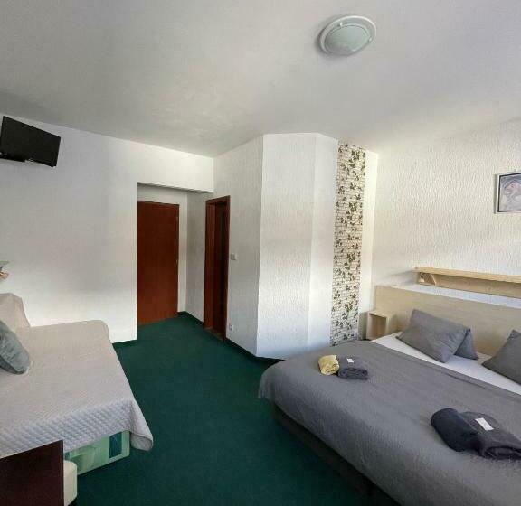 חדר סטנדרט לארבעה, Penzion Erika