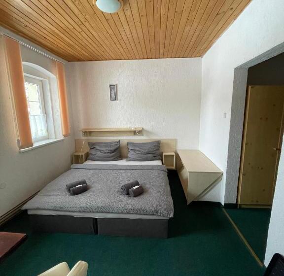 חדר סטנדרט לארבעה, Penzion Erika