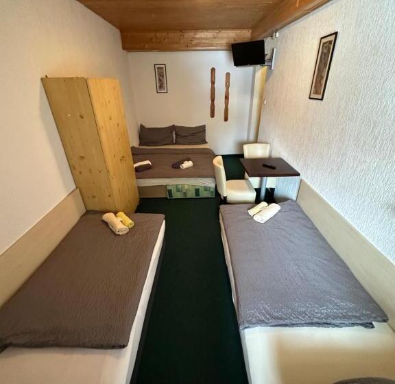 חדר סטנדרט לארבעה, Penzion Erika