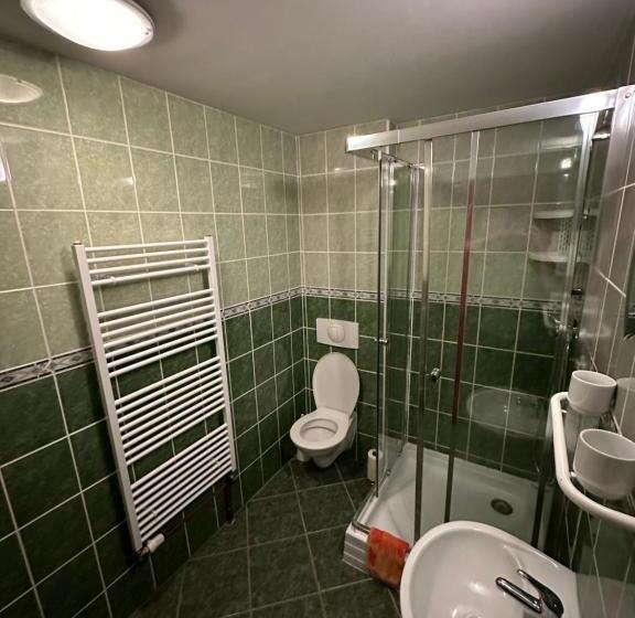 חדר סטנדרט לארבעה, Penzion Erika