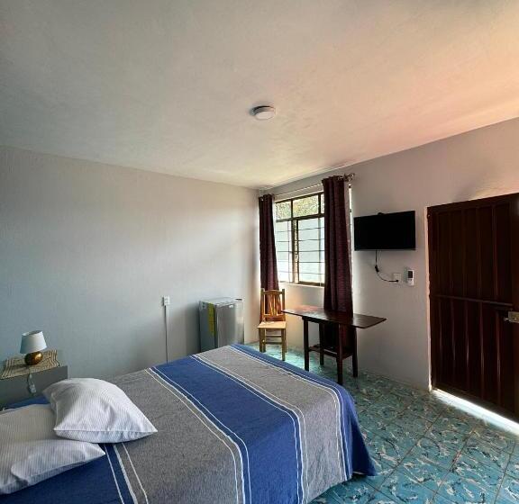 اتاق استاندارد, The Florenthina S House