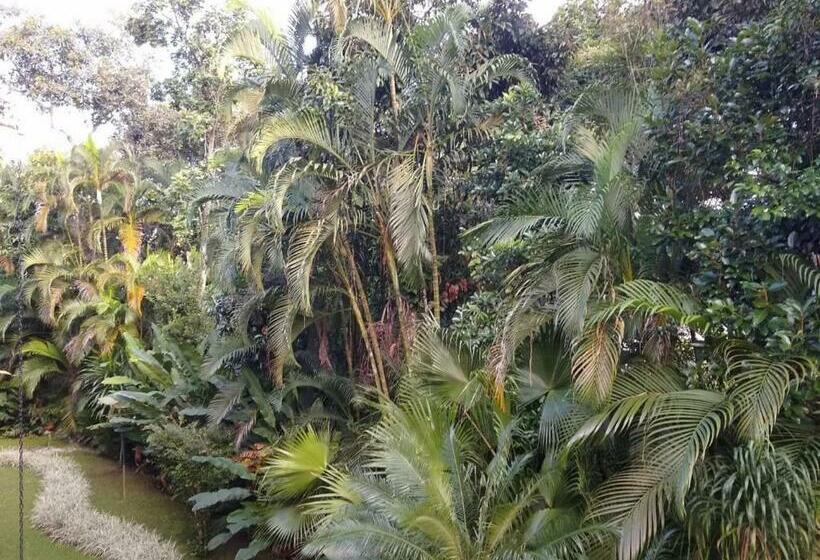 정원 전망 4인용 스탠다드 룸, Riviera De São Lourenço   Flat Amarilis