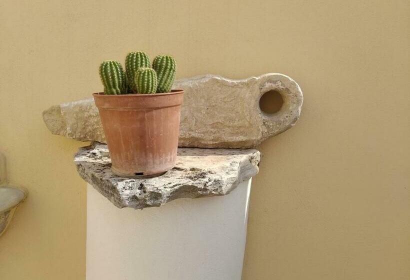 Camera Standard, Attica B&b