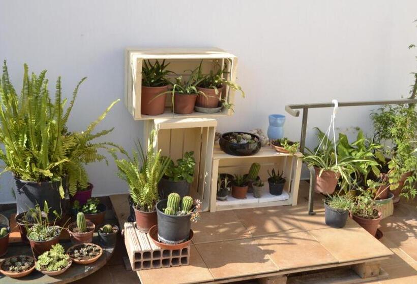 Camera Standard Individuale, Attica B&b