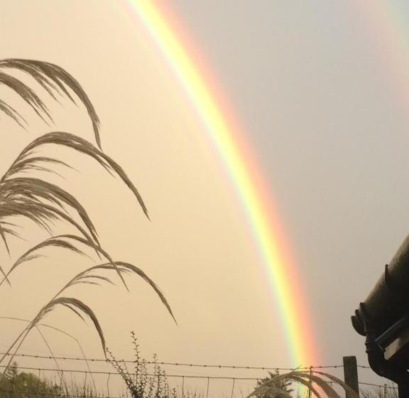 Номер Стандарт, Babas Rooms