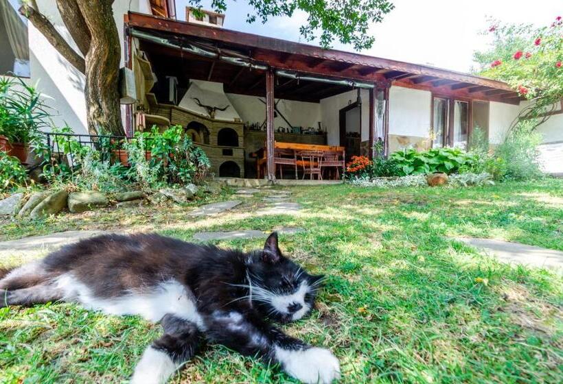 スタンダードルーム, къща за гости виктория