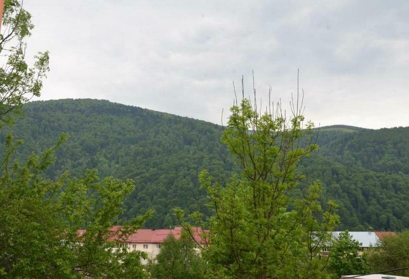 اتاق استاندارد با چشمانداز کوهستان, Casa Tibi Sinaia