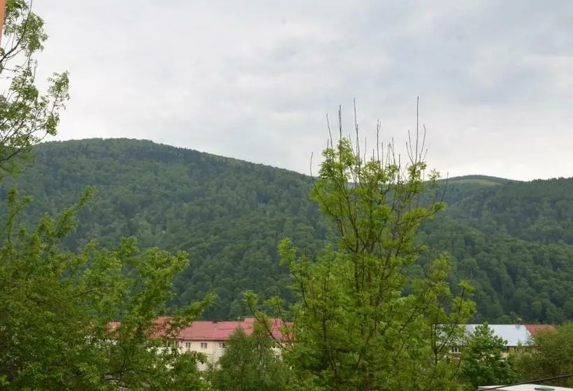 اتاق استاندارد با چشم‌انداز کوهستان, Casa Tibi   Sinaia