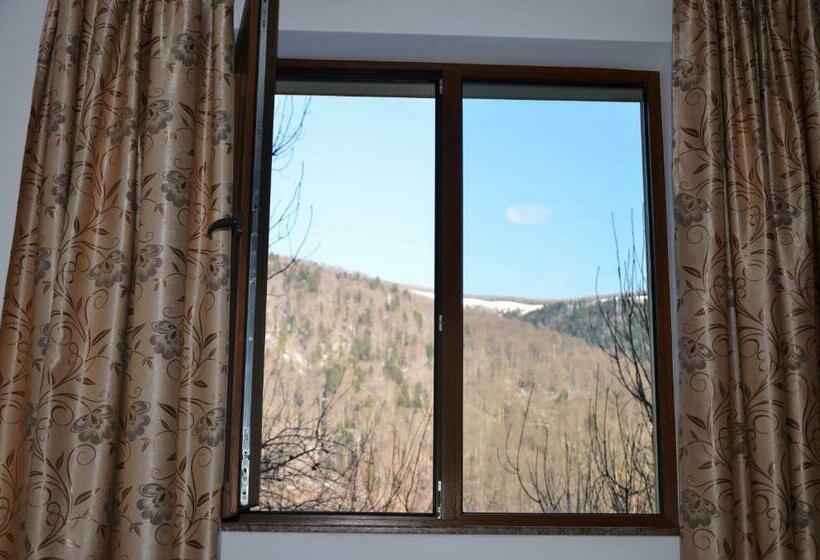 マウンテンビュースタンダードルーム, Casa Tibi   Sinaia