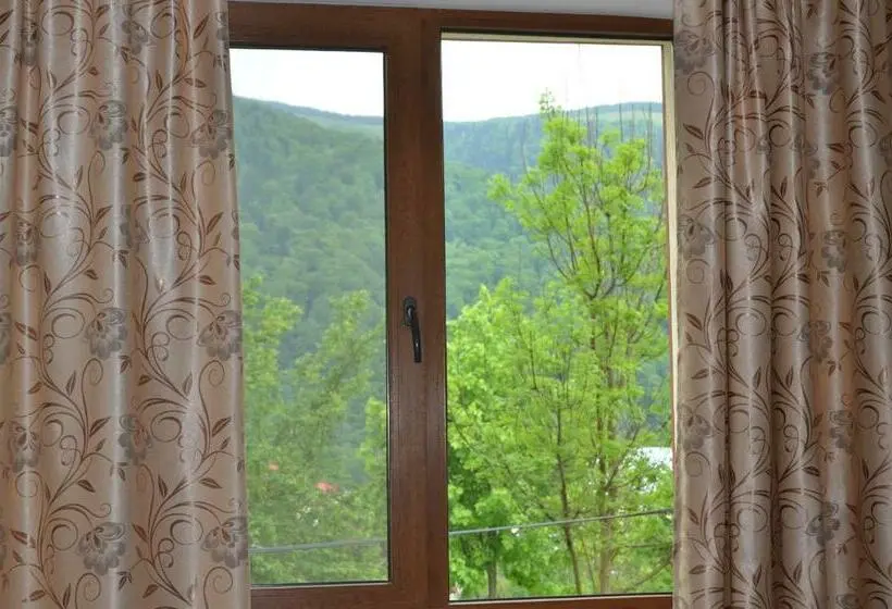 اتاق استاندارد با چشم‌انداز کوهستان, Casa Tibi   Sinaia