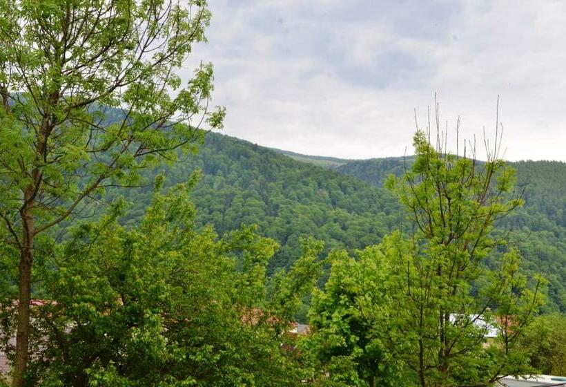 اتاق استاندارد با چشمانداز کوهستان, Casa Tibi Sinaia