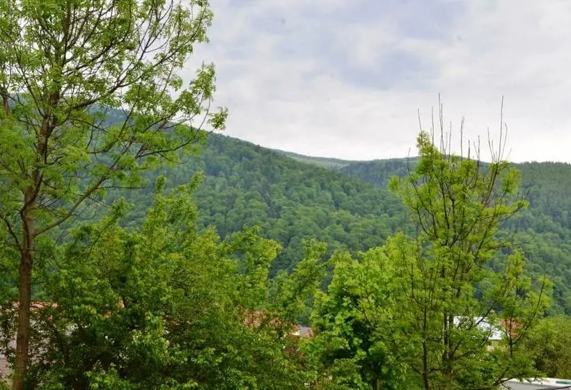 اتاق استاندارد با چشم‌انداز کوهستان, Casa Tibi   Sinaia