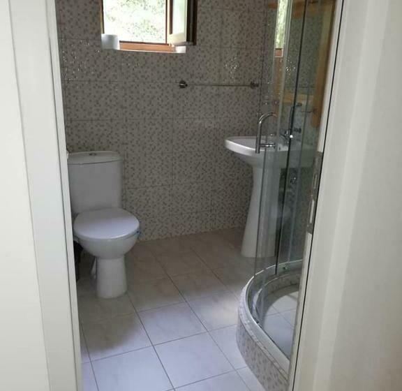 חדר סטנדרט לשלושה, Pensiunea Casa Transalpina