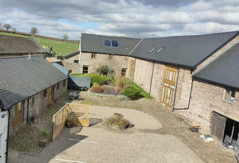 غرفة قياسية, Ty Newydd B&b