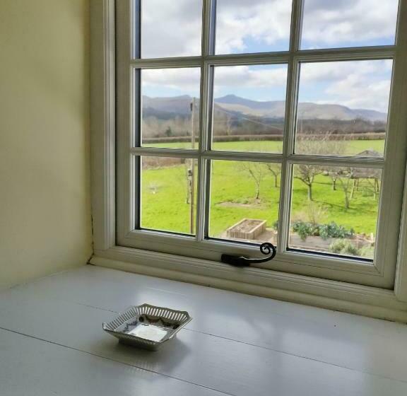 غرفة قياسية, Ty Newydd B&b