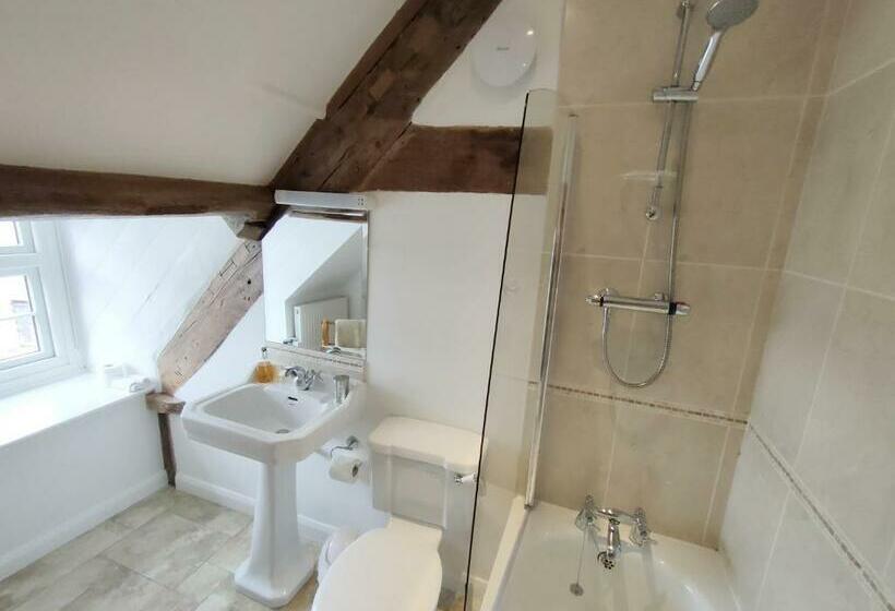 غرفة قياسية, Ty Newydd B&b