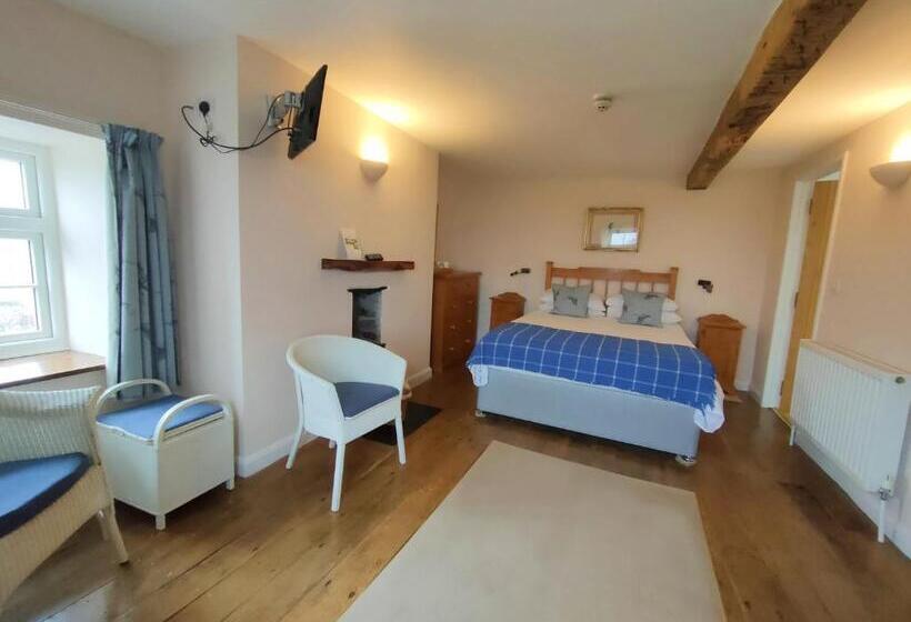 Стандартный Номер Кровать Кинг, Ty Newydd B&b