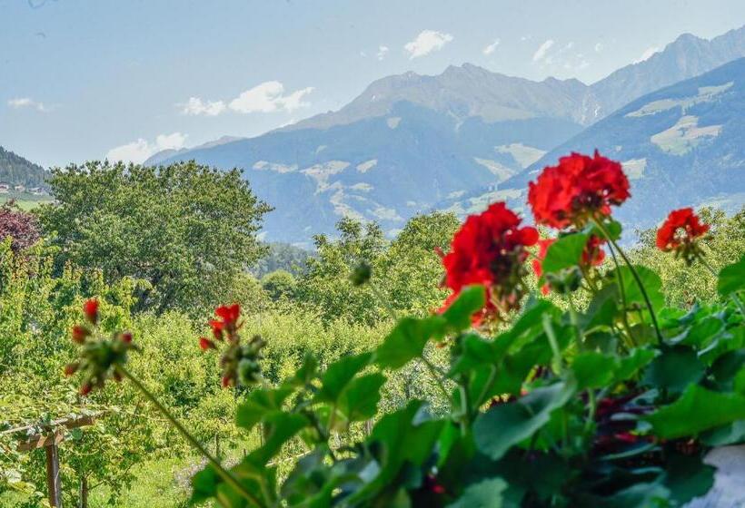 标准单人间, Garni Stübele