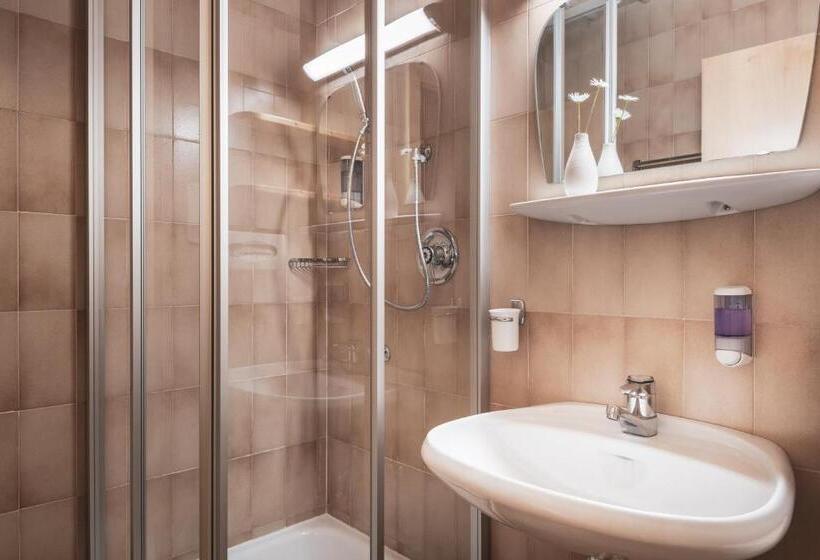 شقة غرفة نوم واحدة بالطابق الأرضى, Ciasa Altonn