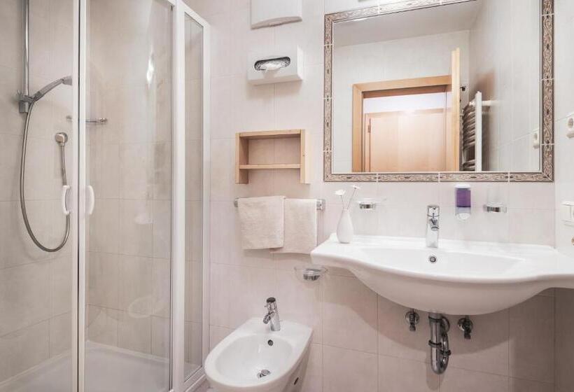 شقة غرفة نوم واحدة بالطابق الأرضى, Ciasa Altonn