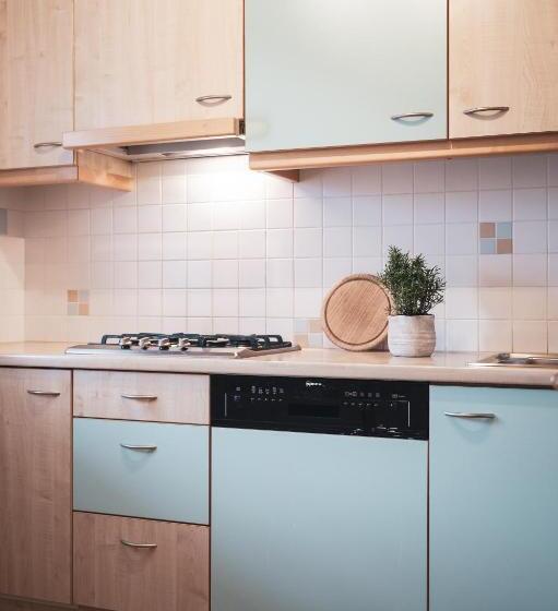 شقة غرفة نوم واحدة بالطابق الأرضى, Ciasa Altonn