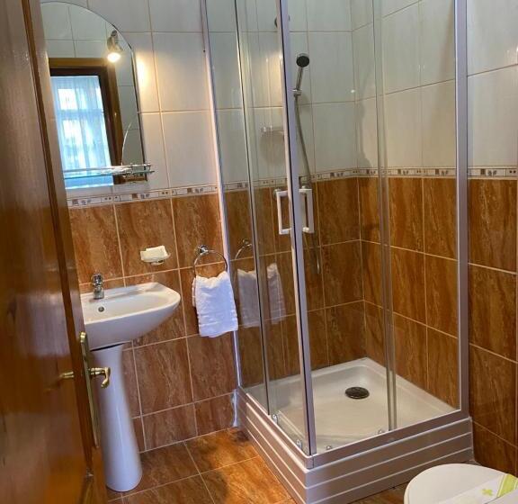 חדר סטנדרט עם מיטת קינג, Pensiunea Ana