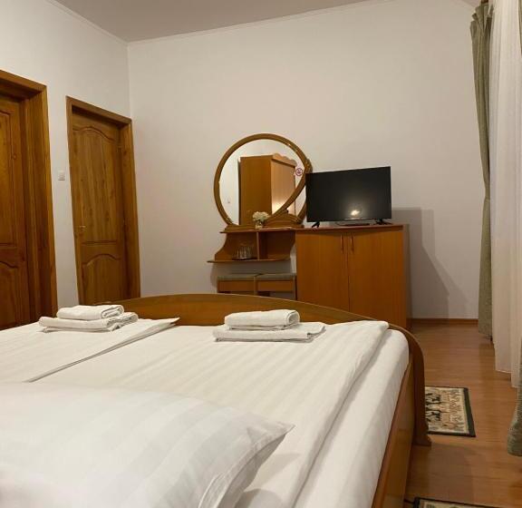 חדר סטנדרט עם מיטת קינג, Pensiunea Ana