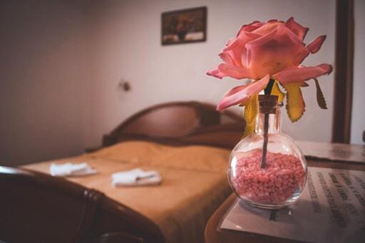 חדר סטנדרט עם מיטת קינג, Pensiunea Ana