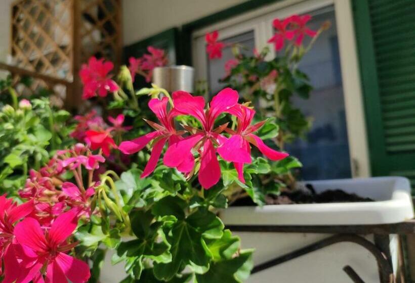 סוויטה עם מרפסת, City Life Pompeii