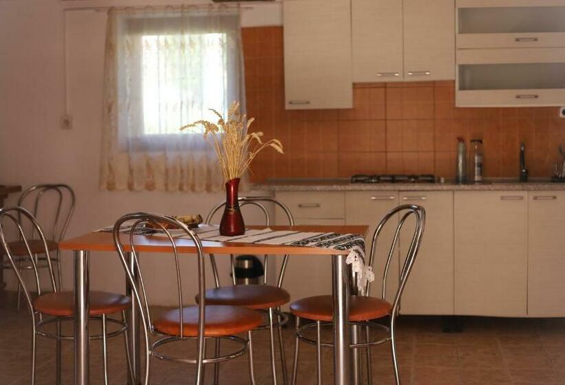 带2个卧室的公寓, Casa De Vacanta Family & Friends