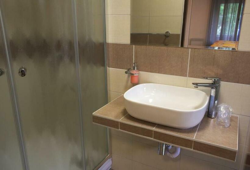 Standard-huone, Penzion Hubert