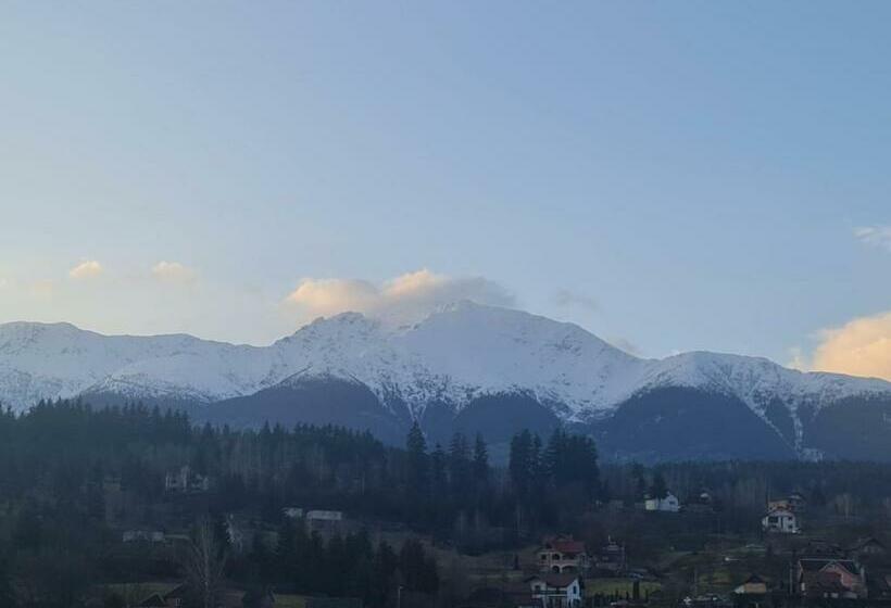 스탠다드 룸 킹사이즈 침대, Pensiunea Alexandra Livia