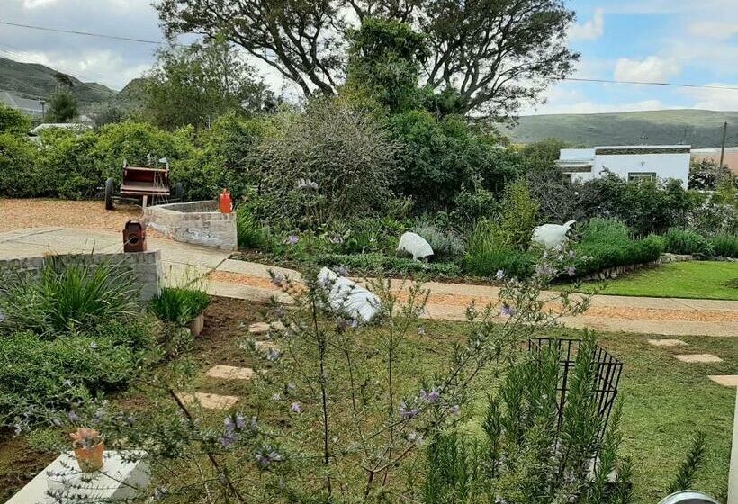 带阳台的豪华间, Over Karoo Inn