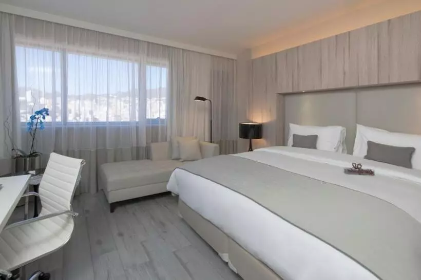 ビジネスルーム, Radisson Blu Belo Horizonte Savassi