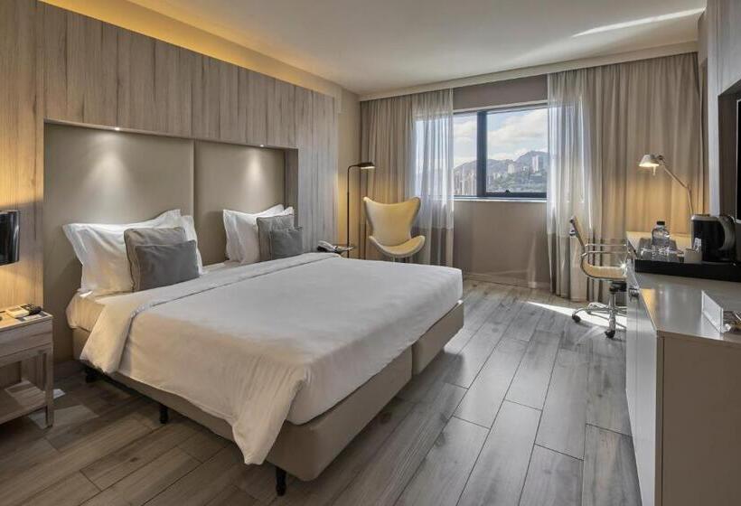 디럭스 룸 킹사이즈 침대, Radisson Blu Belo Horizonte Savassi