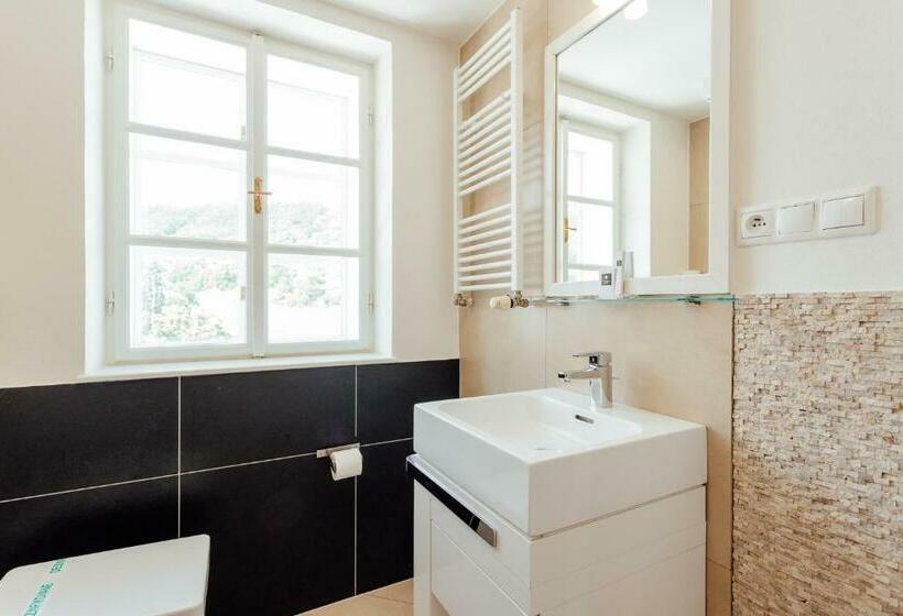 إستوديو قياسى, Glaus