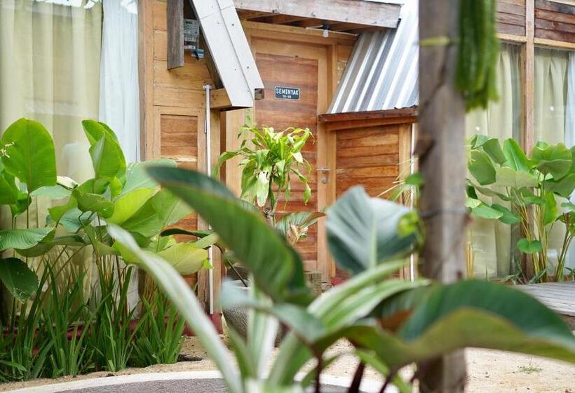 Номер Стандарт, Kampoeng Saya