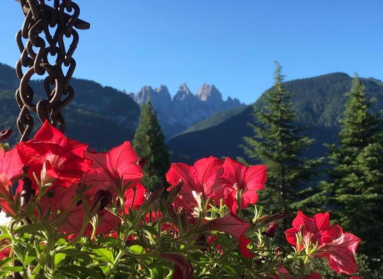 חדר דלוקס לארבעה, B&b Rossodisera