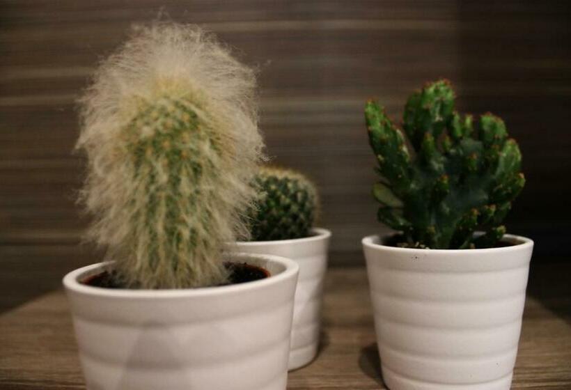 Апартаменты Deluxe 1 Спальня, B&b Viabrin 32