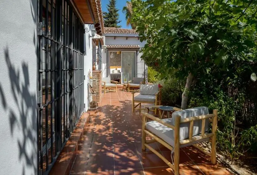 スイート, Bed And Breakfast Mirador Infinito