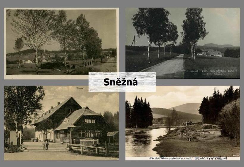 4인용 스탠다드 룸, Penzion Sněžná Volary