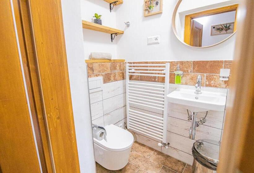 스탠다드 룸, Penzion Sněžná Volary