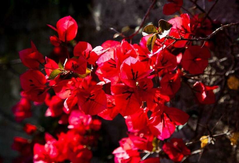 Habitació Estàndard amb Balconada, B&b Alta Marea Lipari